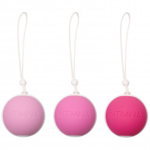 Intimina Laselle Weighted Exerciser Set