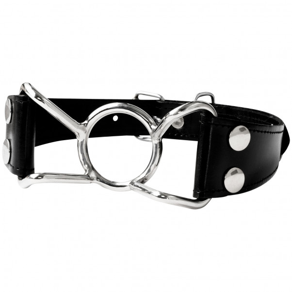 Luxury Spider Mouth Gag  1