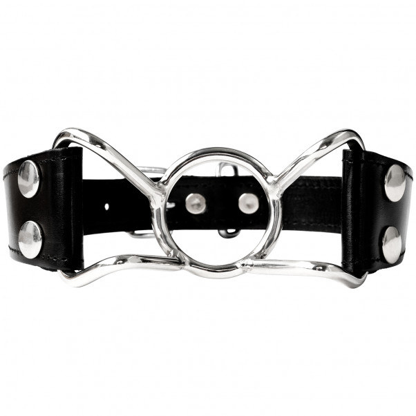 Luxury Spider Mouth Gag  2