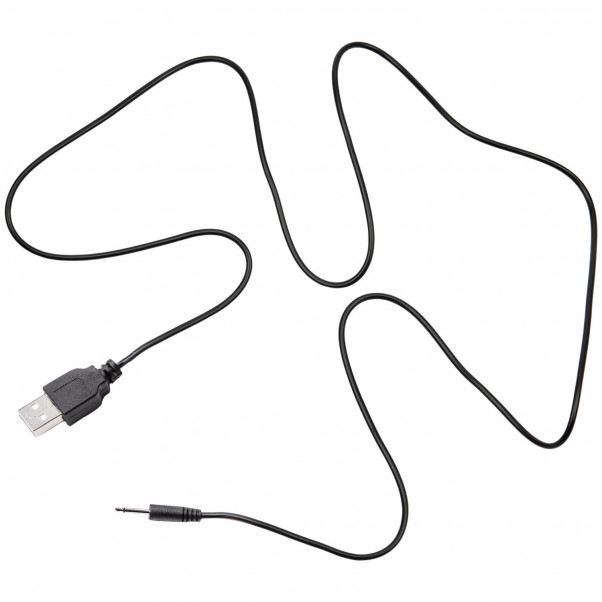 Sinful USB Charger P1  2