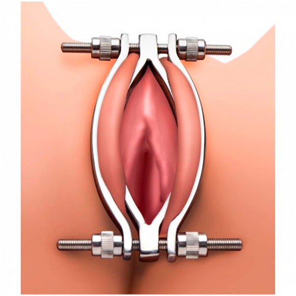 Master Series Kønslæbeklemme  3