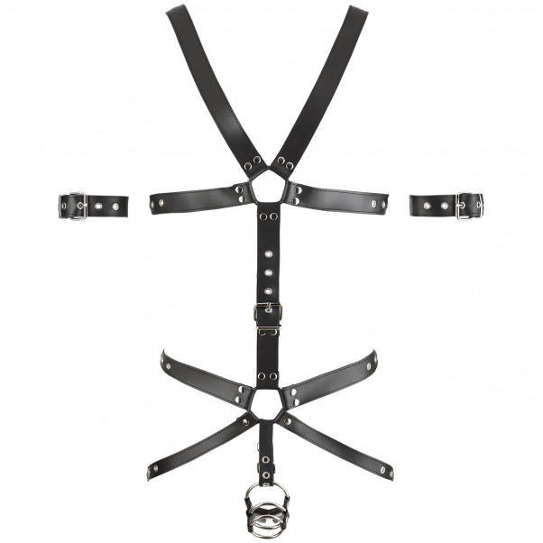Zado Harness with Triple Cock Ring 3
