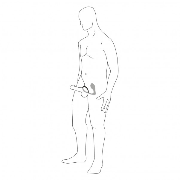 Anal Fantasy Ass-Gasm Penisring med Vibrerende Anal Plug Illustration 10
