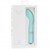 Pillow Talk Sassy G-Spot Vibrator  3